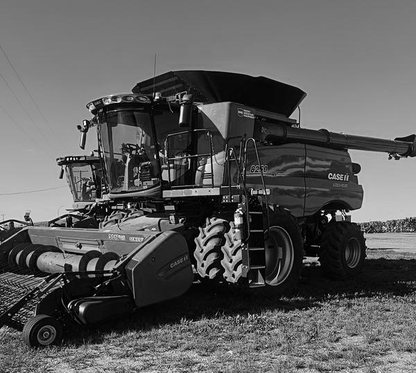 2019 Case IH 8250